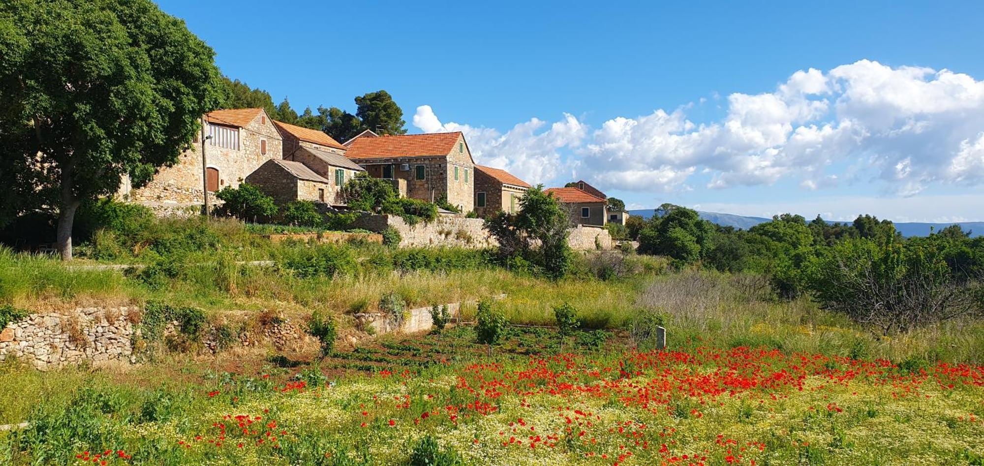 Hvar Stone Villa With Pool Vrbanj Buitenkant foto