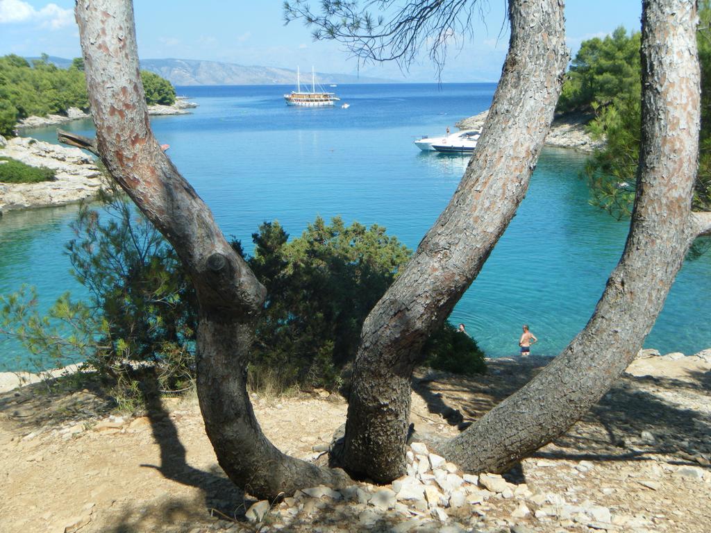 Hvar Stone Villa With Pool Vrbanj Kamer foto